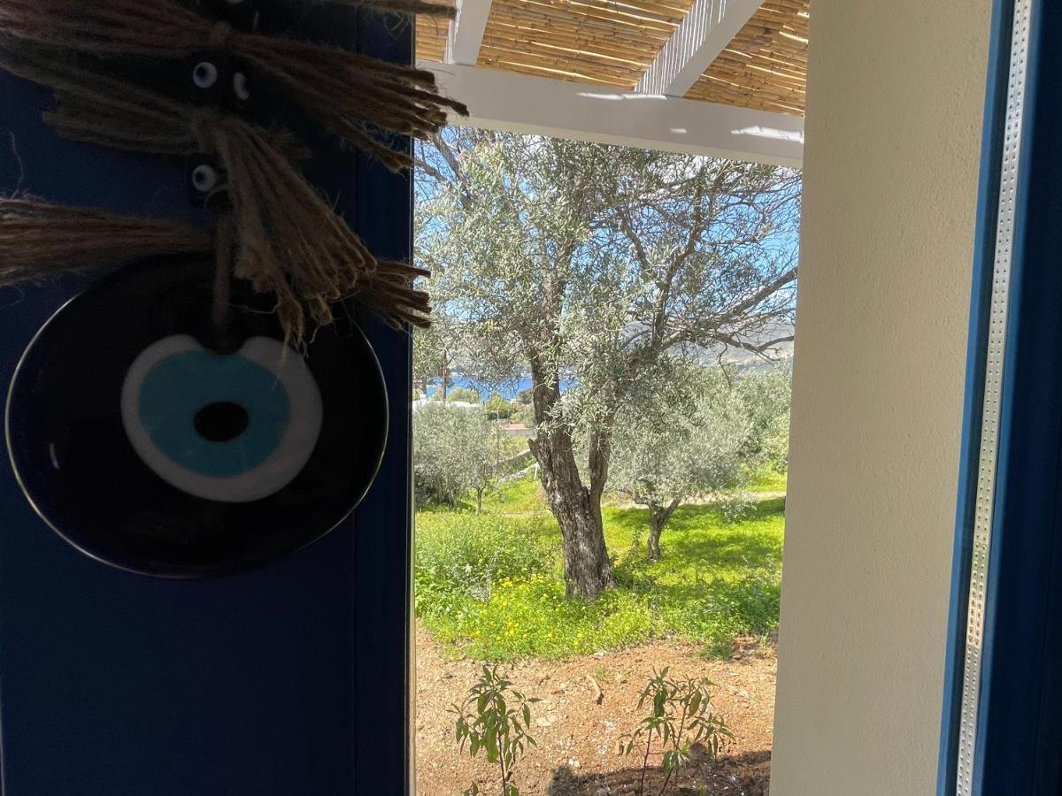 The Velanidies - Οι Βελανιδιές Agia Marina  Exterior foto