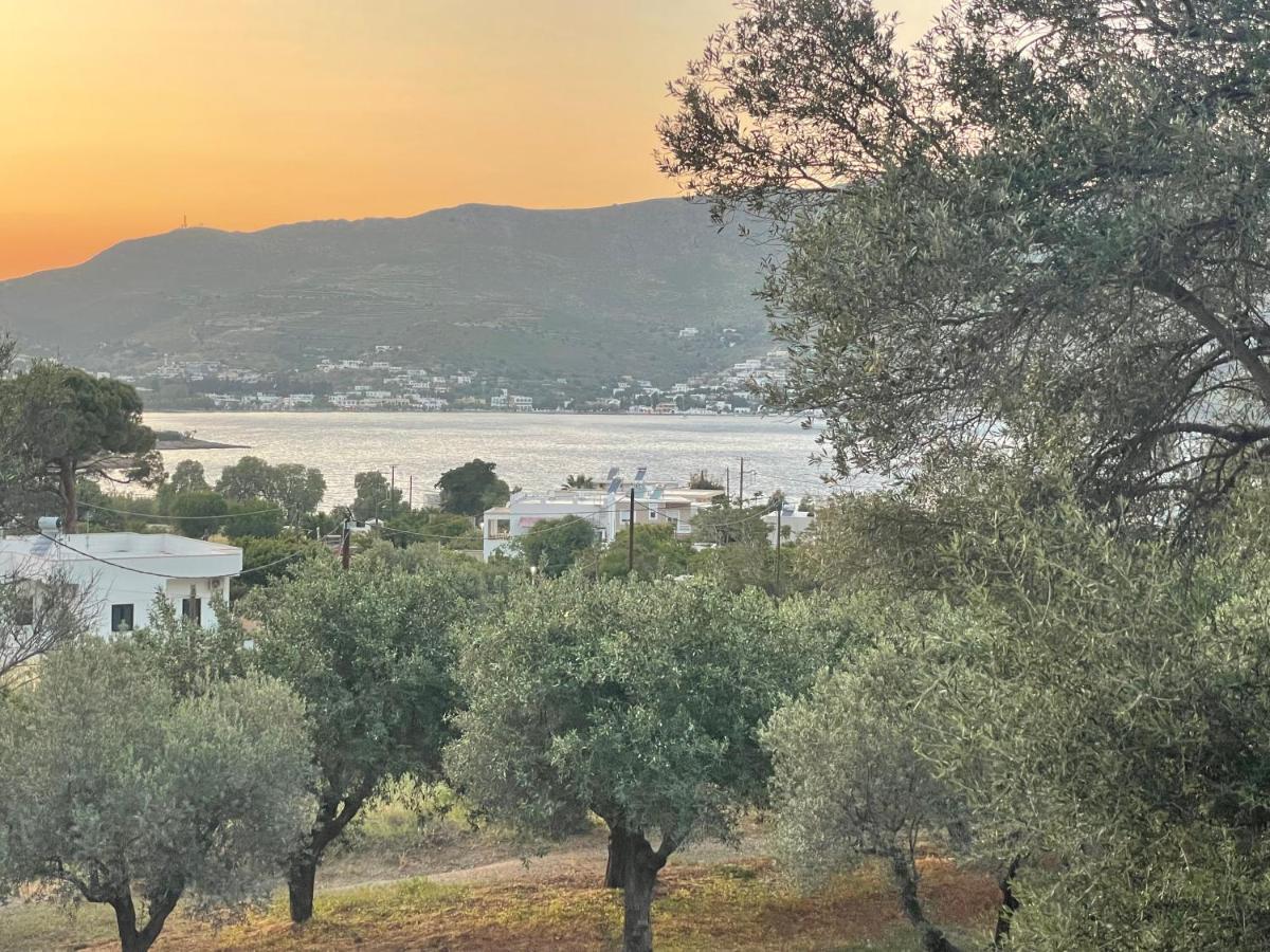 The Velanidies - Οι Βελανιδιές Agia Marina  Exterior foto