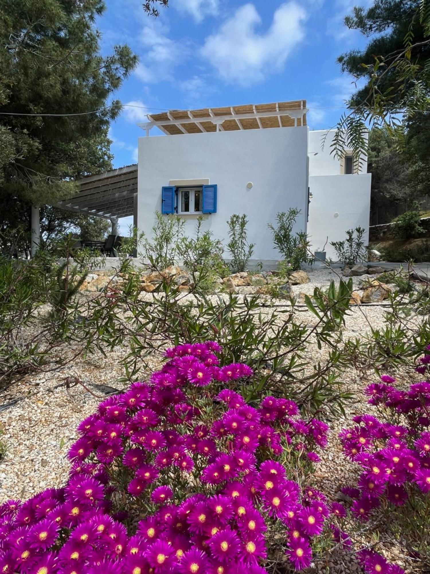 The Velanidies - Οι Βελανιδιές Agia Marina  Exterior foto
